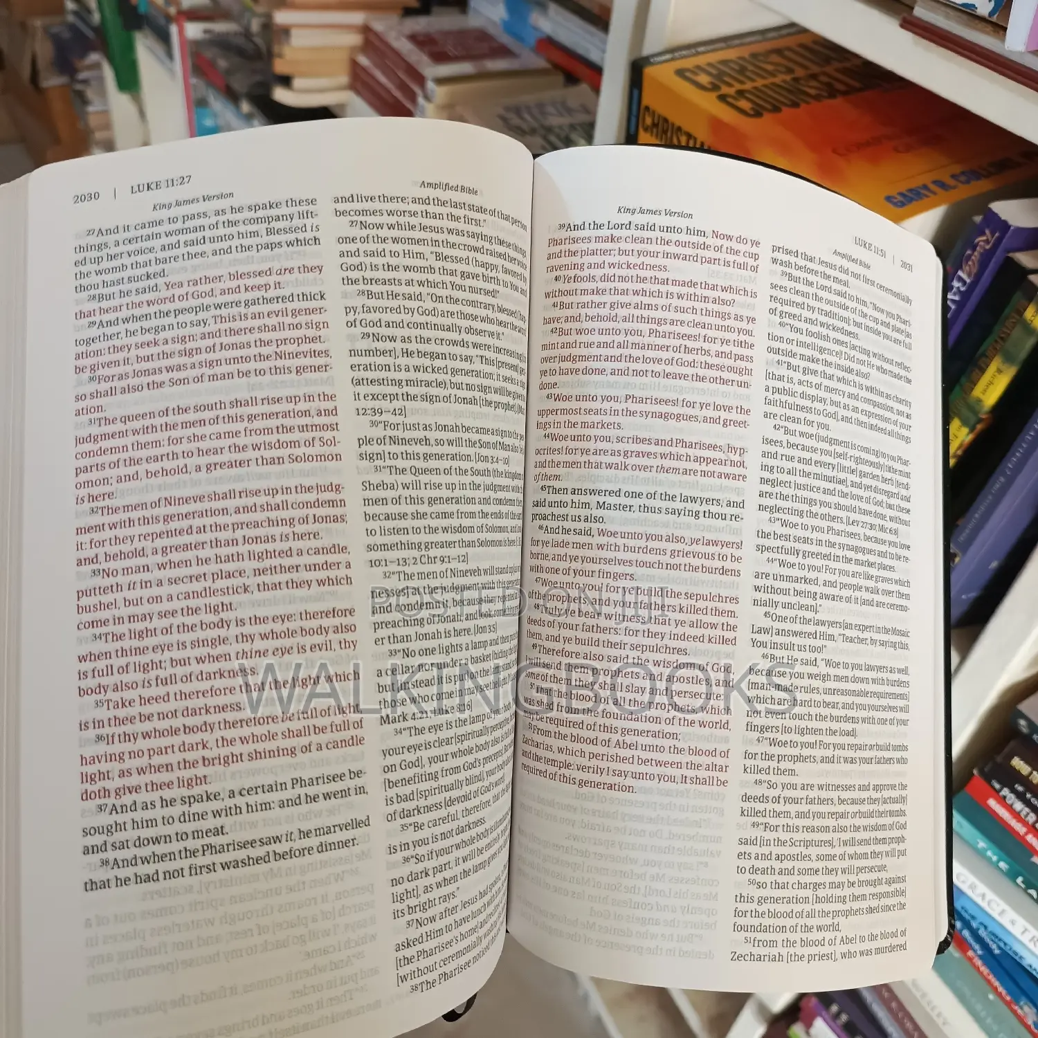 KJV and Amplified Parallel Bible