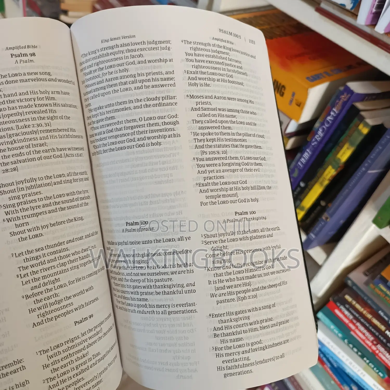 KJV and Amplified Parallel Bible