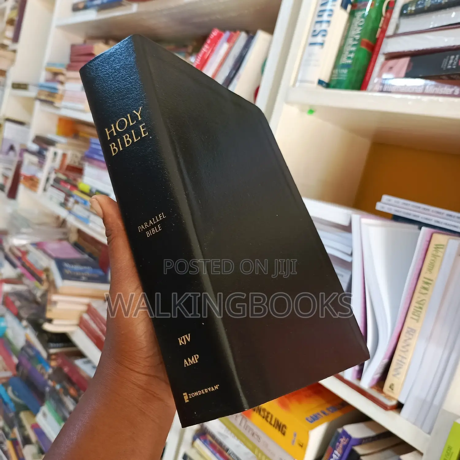 KJV and Amplified Parallel Bible