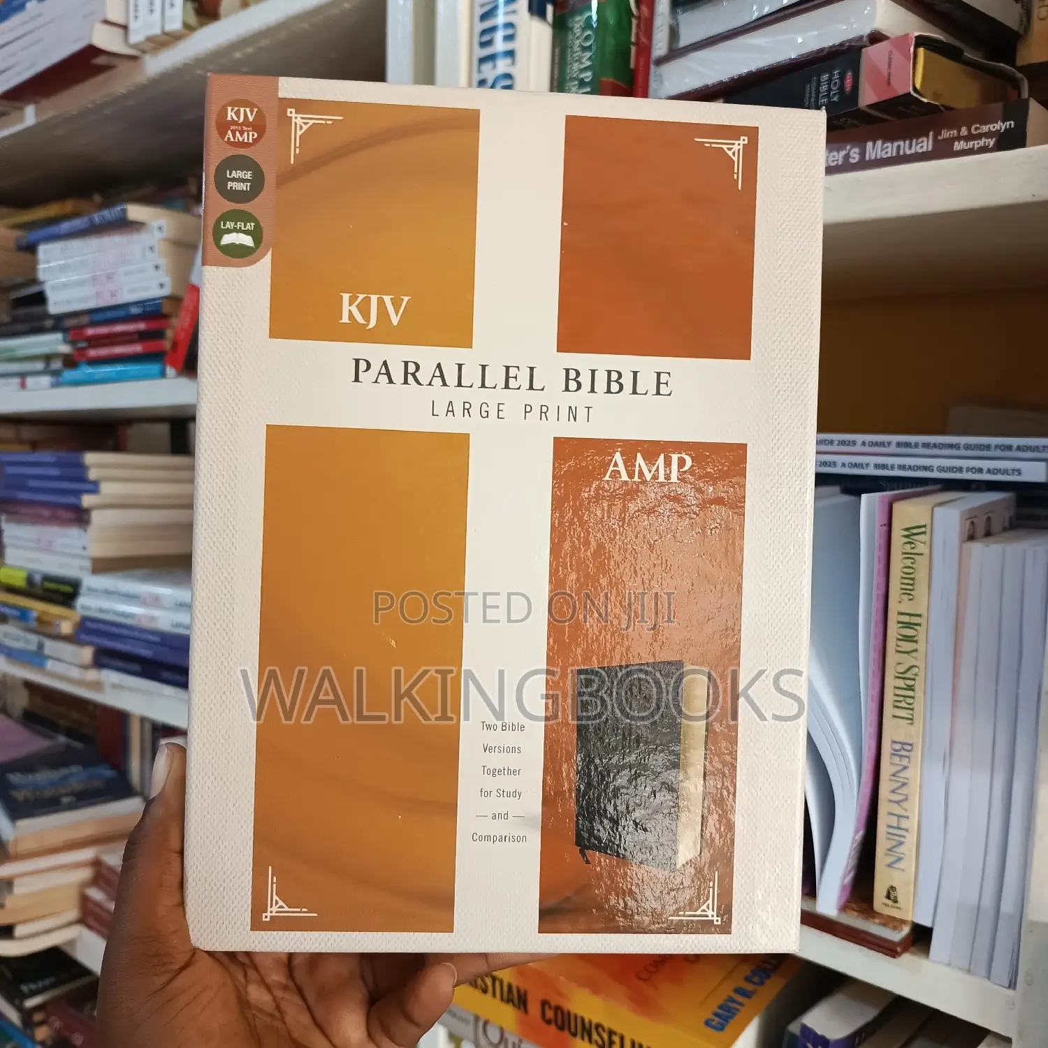 KJV and Amplified Parallel Bible