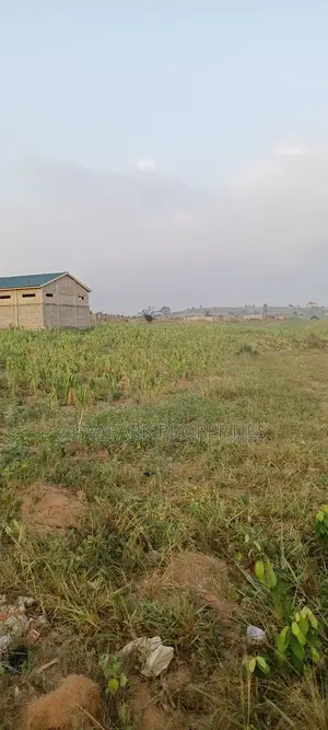 Two Plot of Land Amasaman Obom