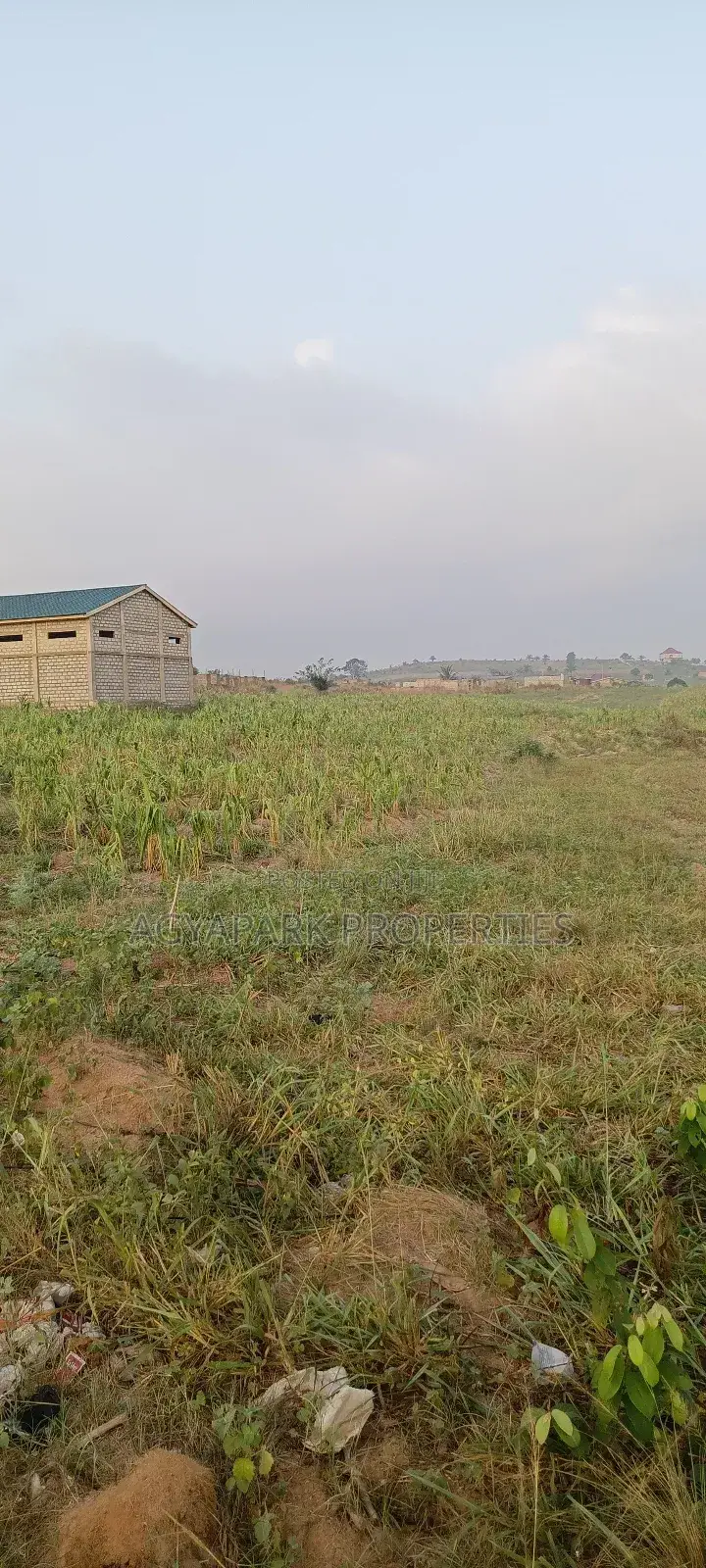 Two Plot of Land Amasaman Obom