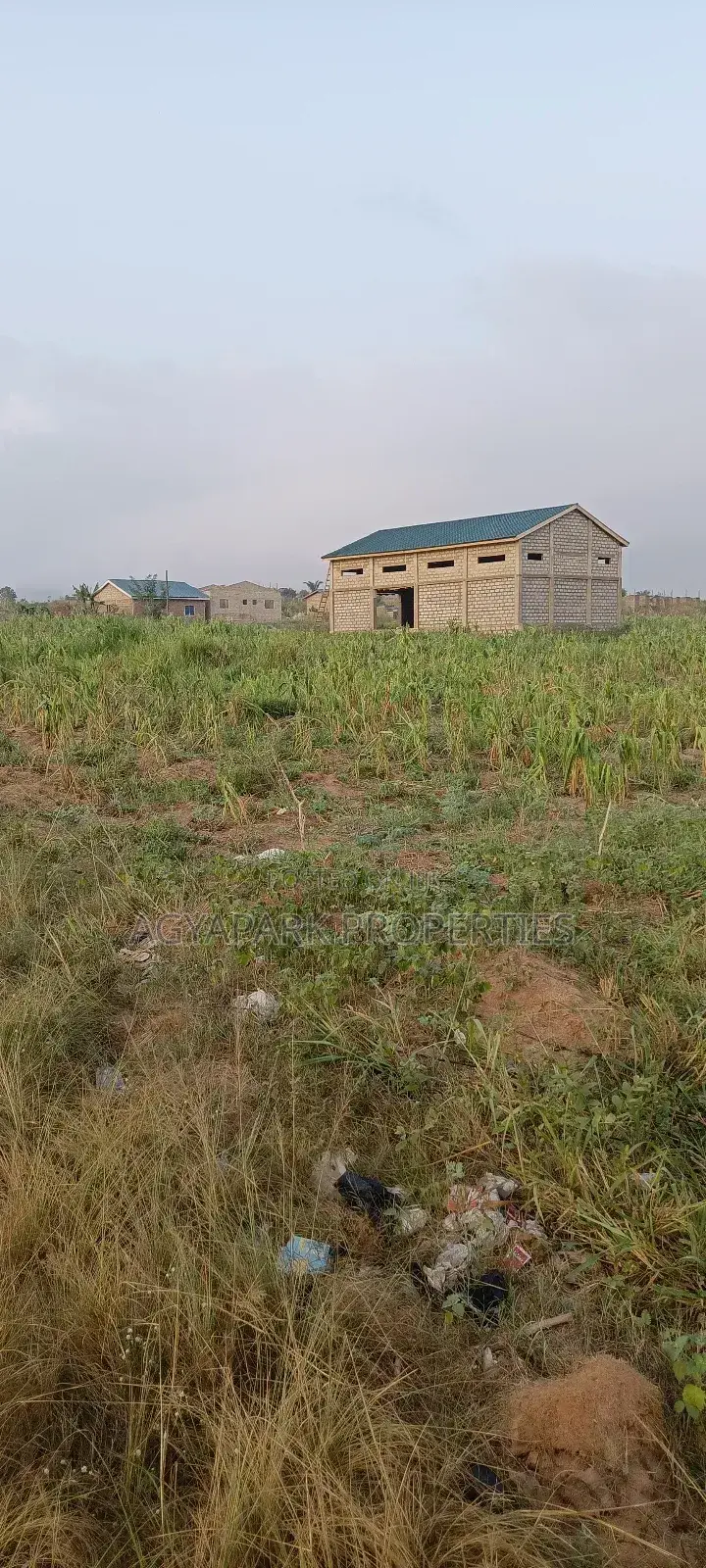 Two Plot of Land Amasaman Obom