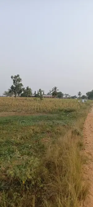 Two Plot of Land Amasaman Obom