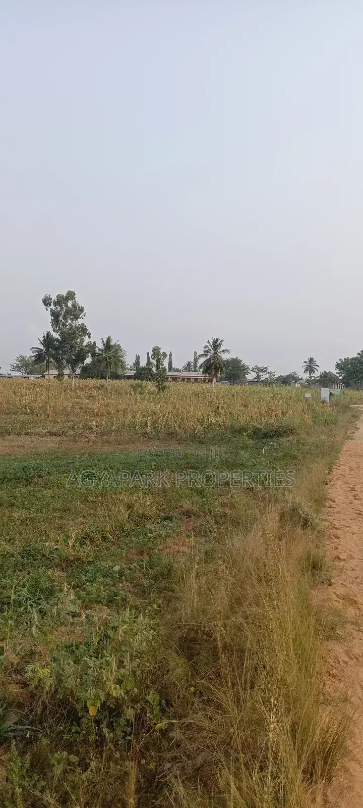 Two Plot of Land Amasaman Obom