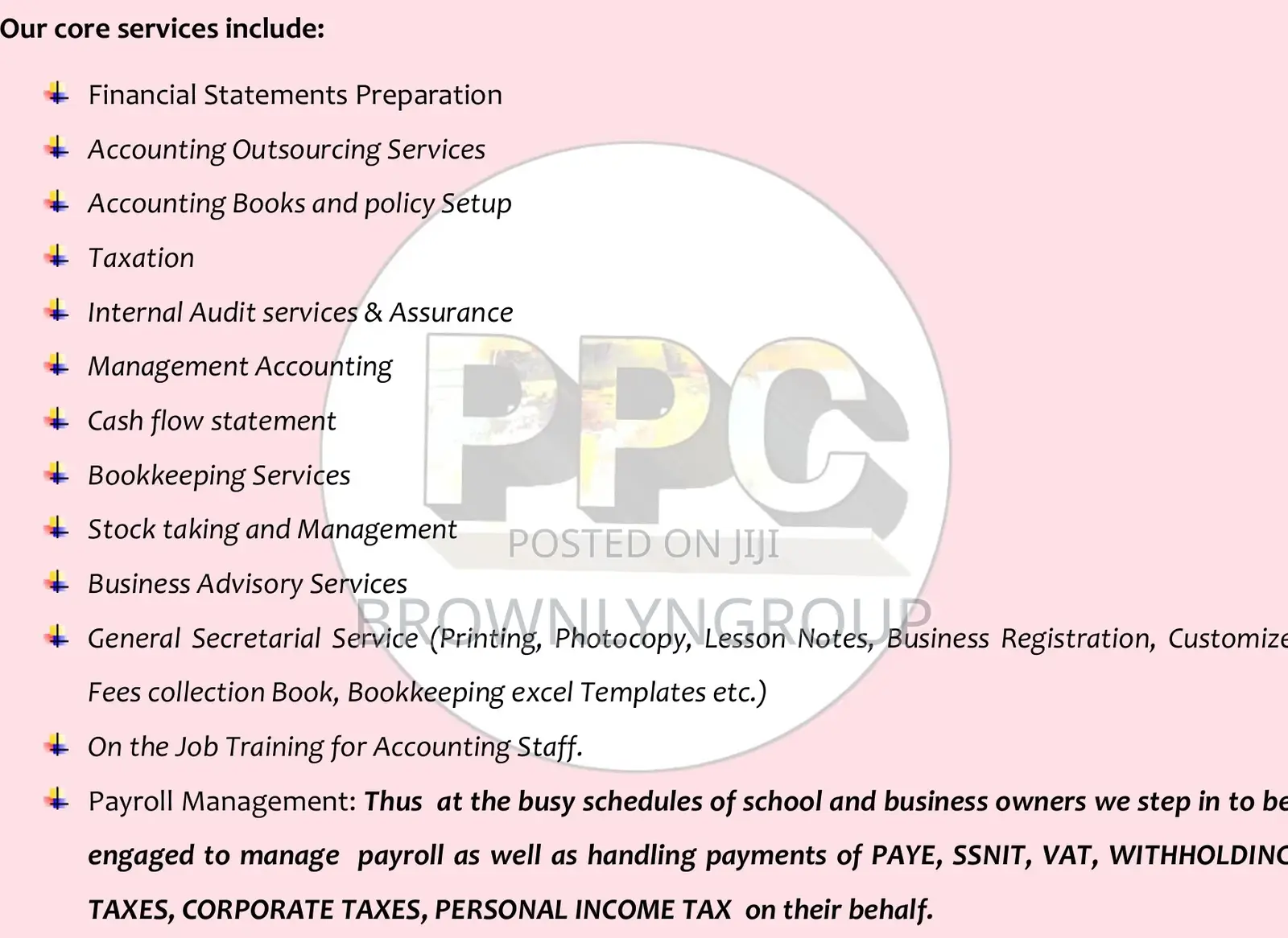Professional Accountants