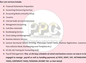 Professional Accountants