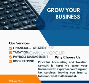 Professional Accountants