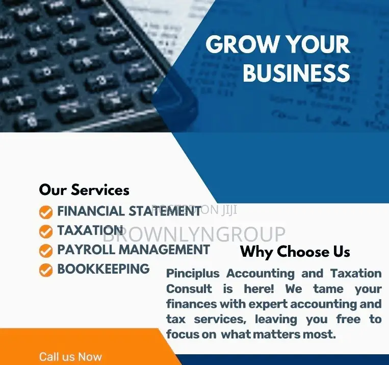 Professional Accountants