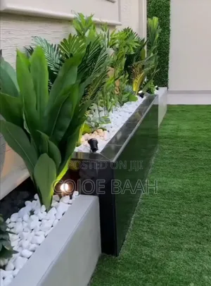 Pest Control Services