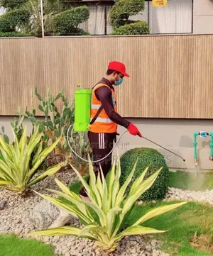 Villa,Mansion,Suites,Apartment,Warehouse Fumigation