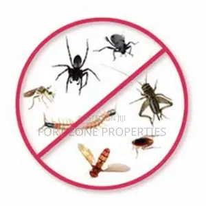 Easy Pest Control and Cleaning With Cleantex
