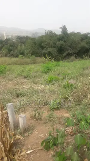 Registered 2 Acres of Residential Land at Nsawam Odeikrom for Sale