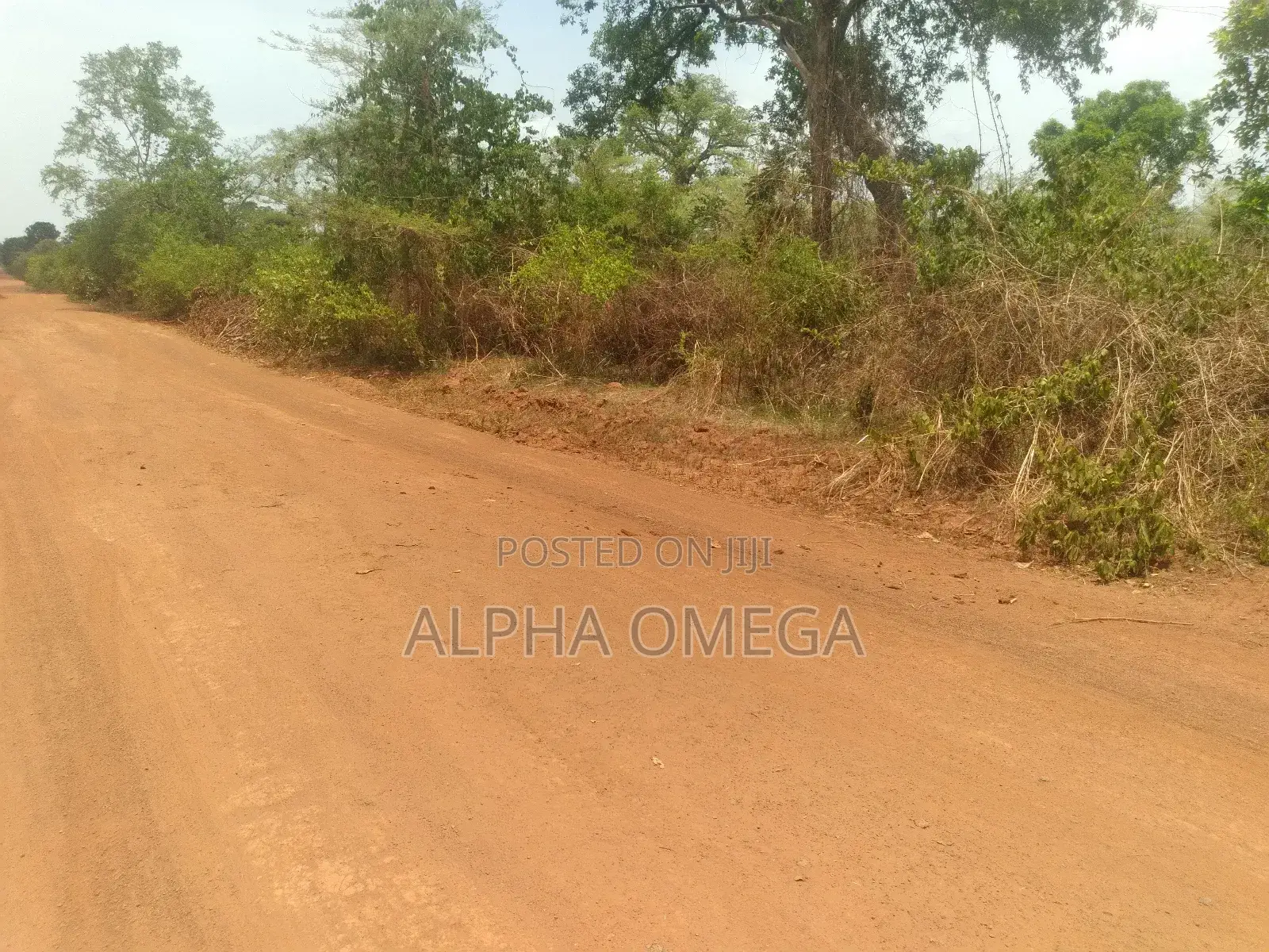10plots Ready Serious Buyer Should Text or Call,Very Legit and Assured