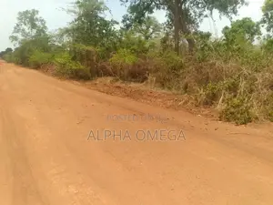 10plots Ready Serious Buyer Should Text or Call,Very Legit and Assured