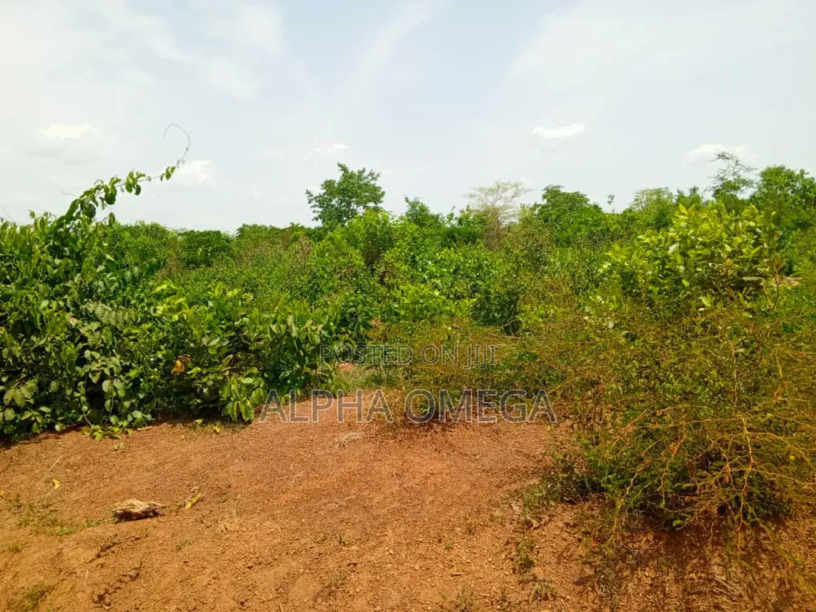 10plots Ready Serious Buyer Should Text or Call,Very Legit and Assured