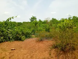 10plots Ready Serious Buyer Should Text or Call,Very Legit and Assured
