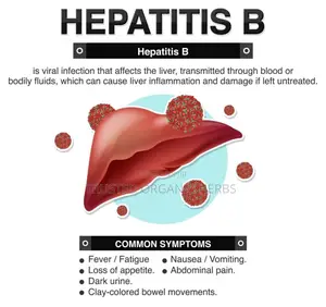 Cure Hepatitis-B in Just 30 Days