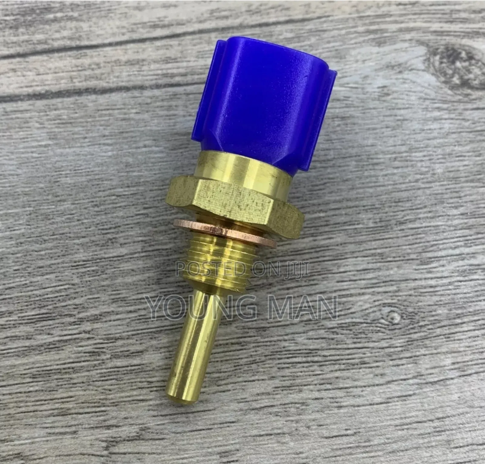 Nissan All Cars Temperature Switch or Sensor