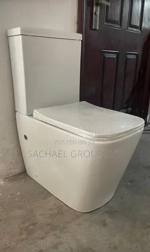 Modern Wc for Classic Home
