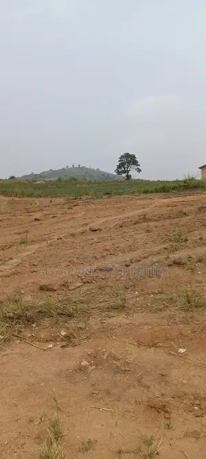 Archers of Land
