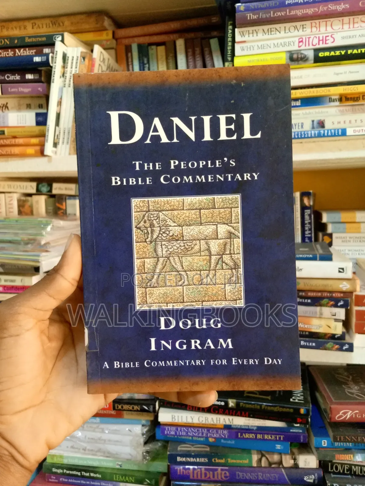Daniel:The People's Bible Commentary