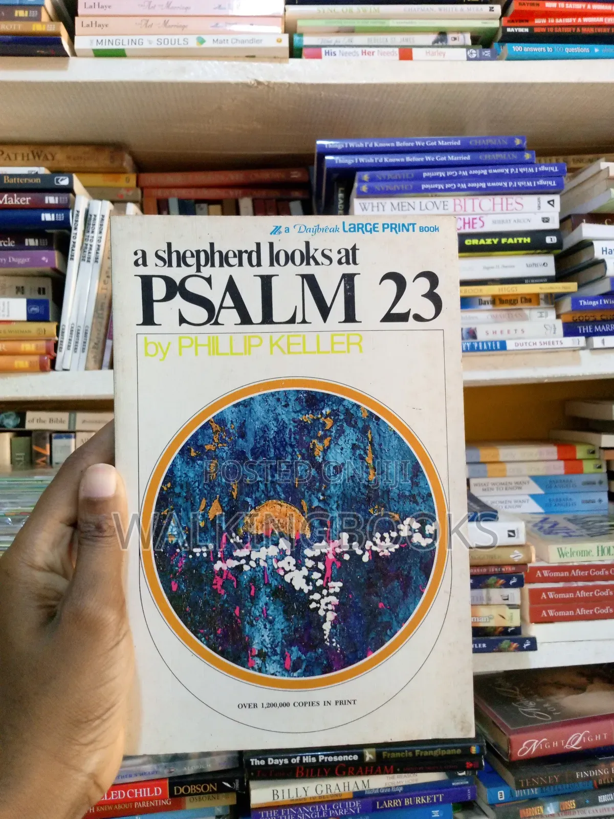 A Shepherd Looks at Psalm 23