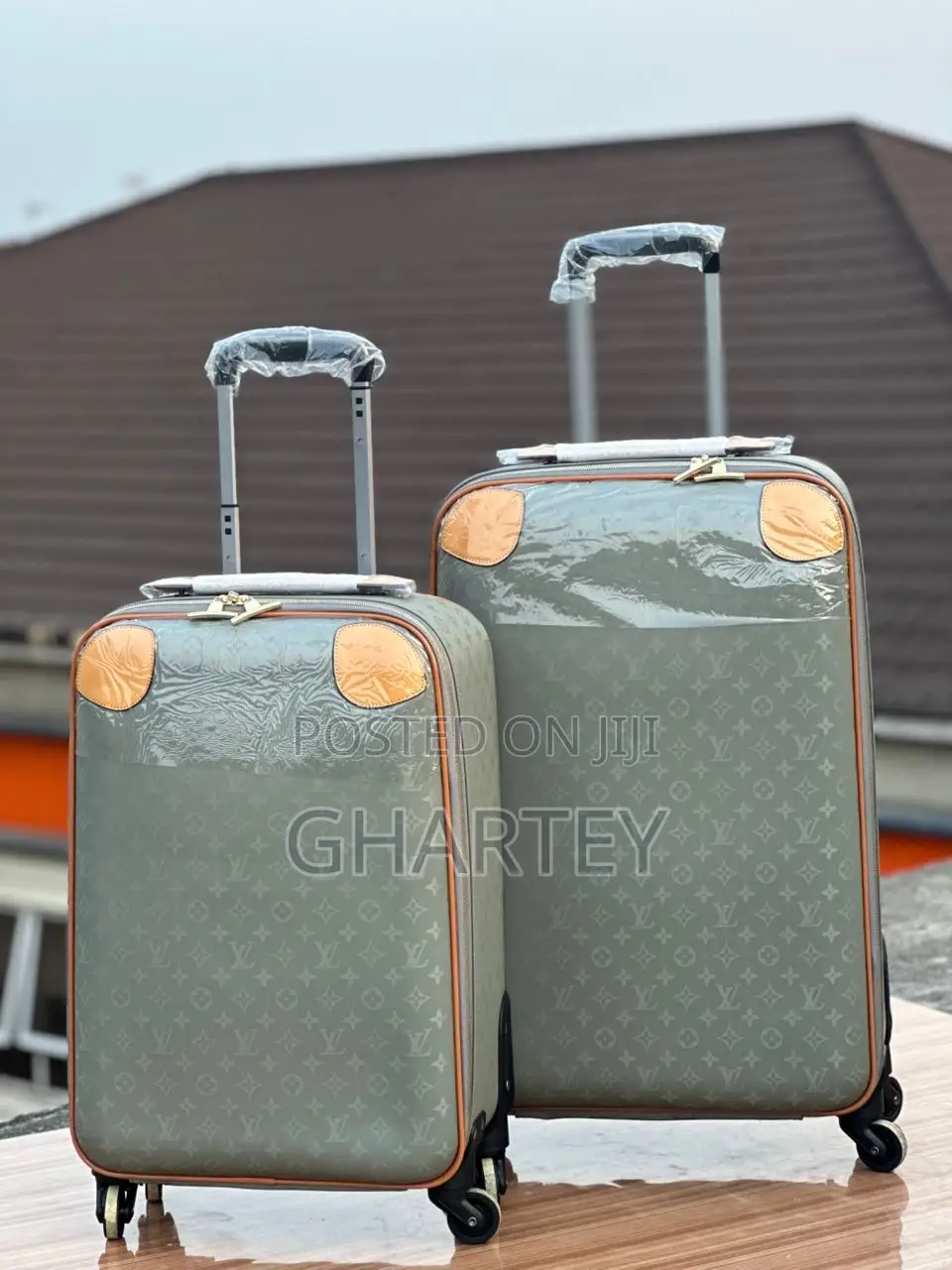 Designer Travel Bag Set