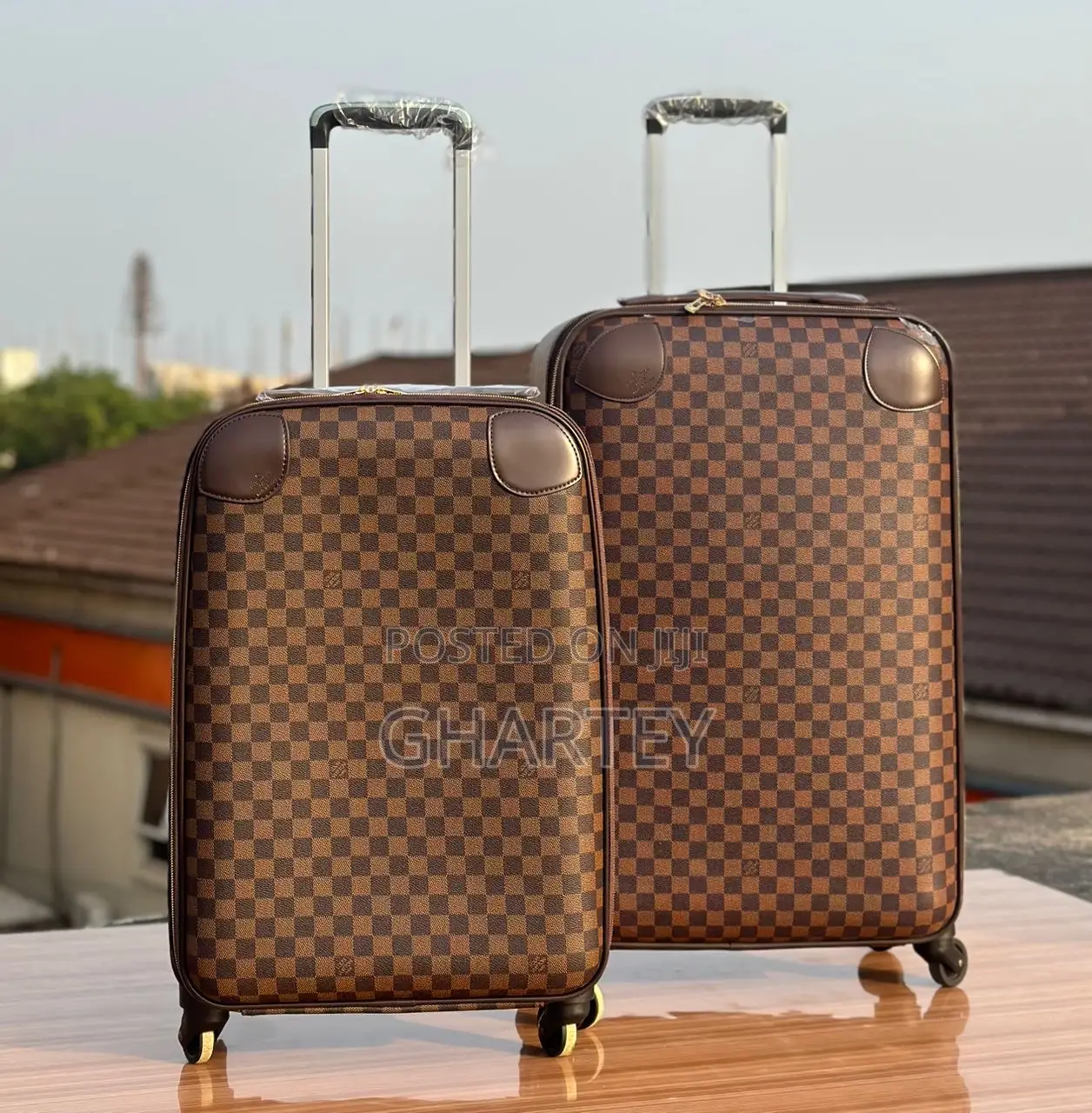 Designer Travel Bag Set