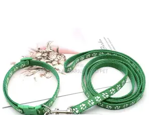 Colorful Dog Leash