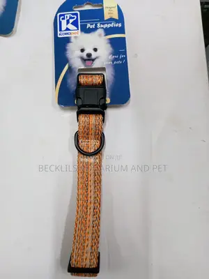 Dog Collars Available For All Types Of Dog