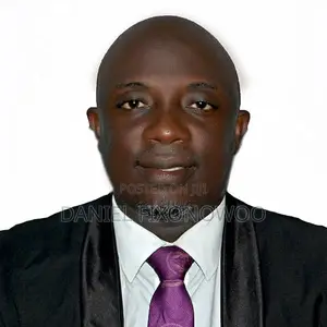 Professional Accountant Auditor
