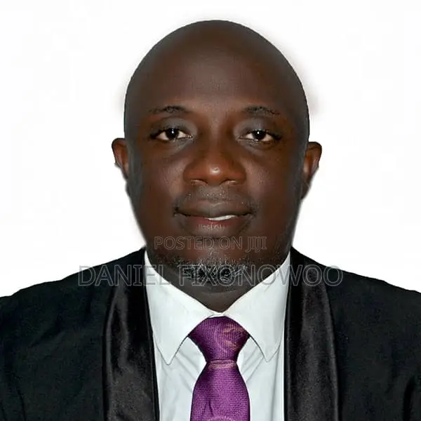 Professional Accountant Auditor