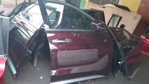 Hyundai Palisade Door 2019,2020,2021,2022,2023,2024