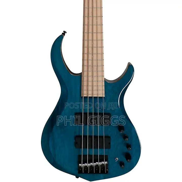 Marcus Miller,Ibanez Bass Guitar