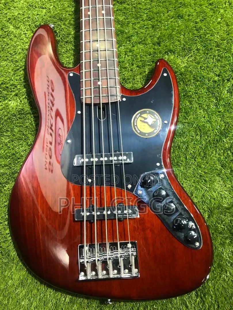 Marcus Miller,Ibanez Bass Guitar