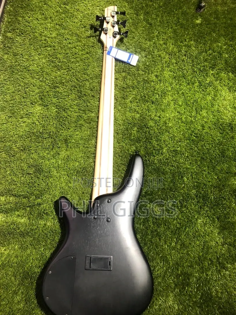 Marcus Miller,Ibanez Bass Guitar