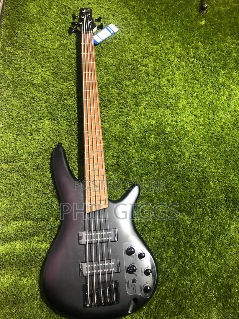 Marcus Miller,Ibanez Bass Guitar