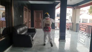 Pest Down Fumigation and Cleaning With Cleantex