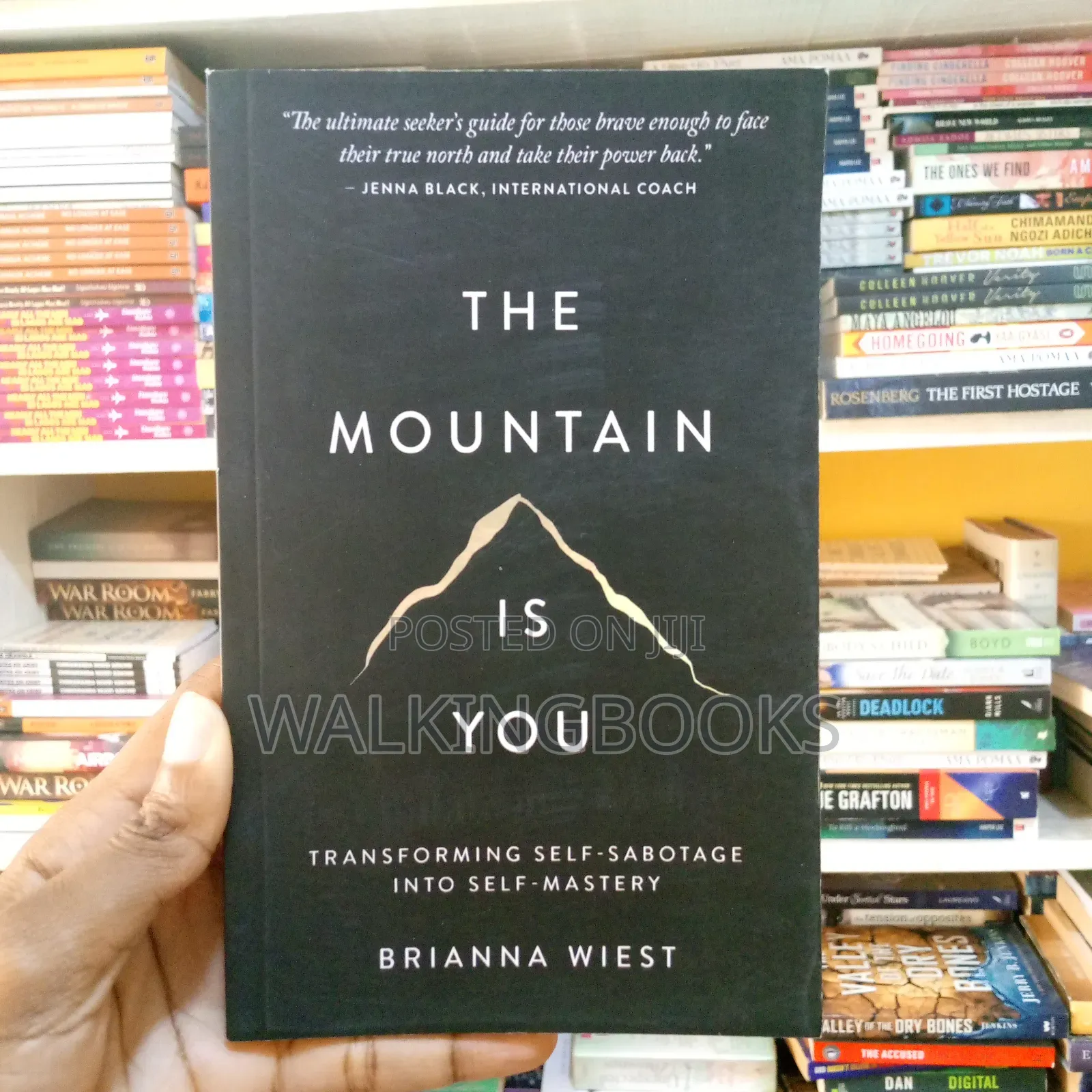 The Mountain Is You