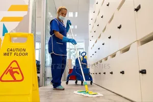 General House Cleaning and Fumigation