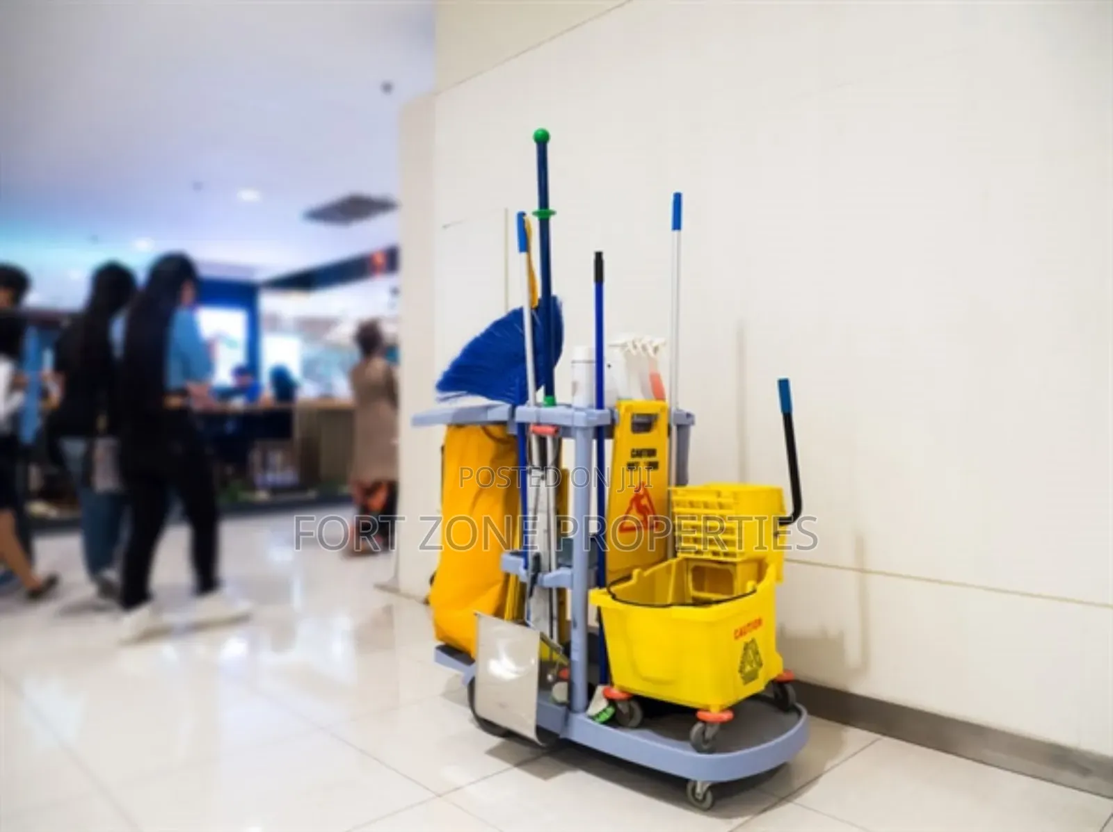 General House Cleaning and Fumigation