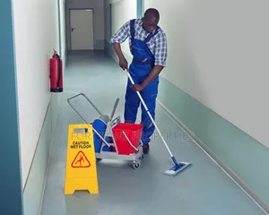 General House Cleaning and Fumigation