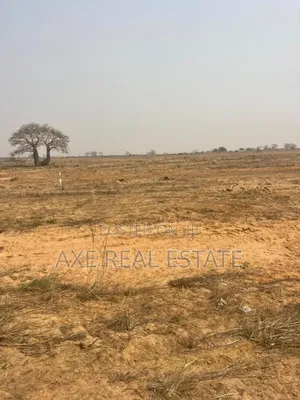 Genuine Estate Lands With Exciting Discounts at Prampram