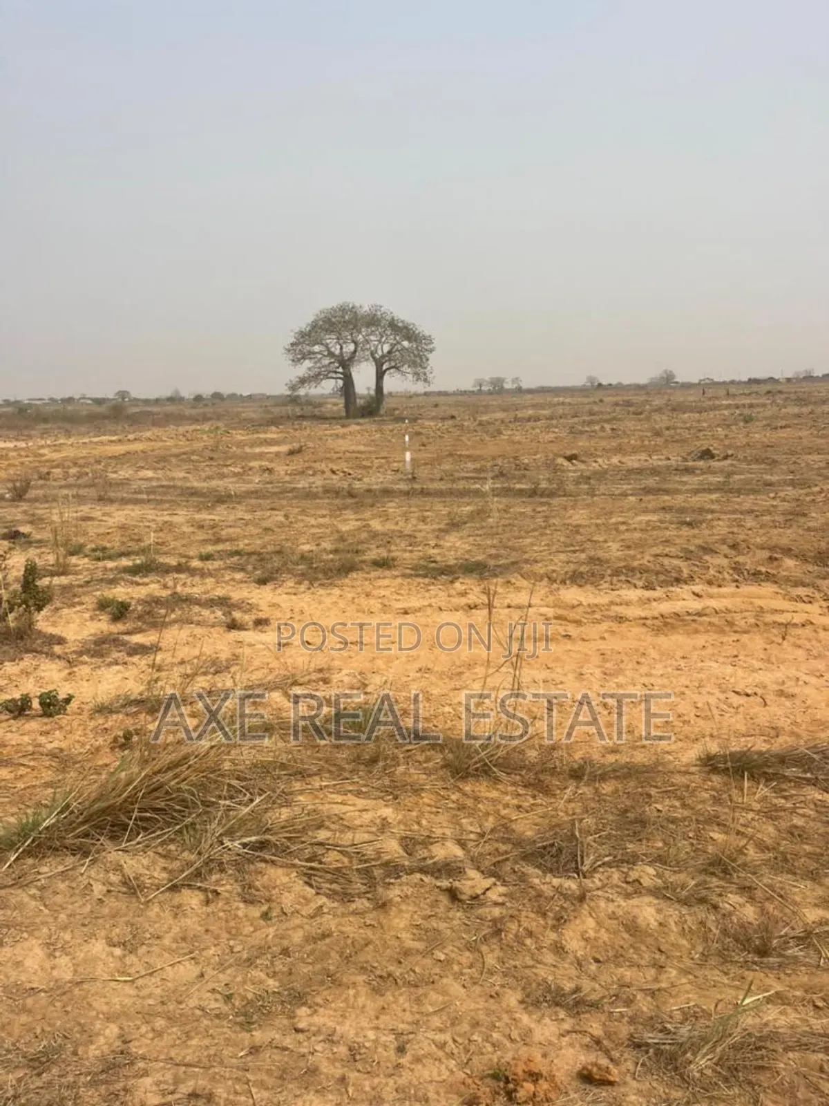 Genuine Estate Lands With Exciting Discounts at Prampram