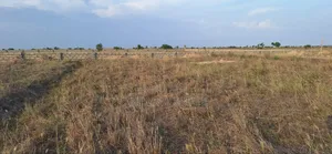 50 X 70sqft Half Plot With Free Documents at Prampram