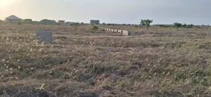 50 X 70sqft Half Plot With Free Documents at Prampram
