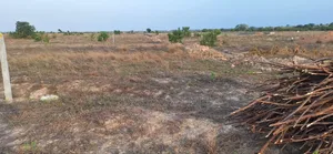Tema Community 25 Adom Estate Road Plots Selling! 
