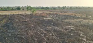 Free Fast Documentation on Plots at Prampram Beach Lane