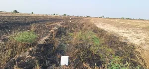 Free Fast Documentation on Plots at Prampram Beach Lane